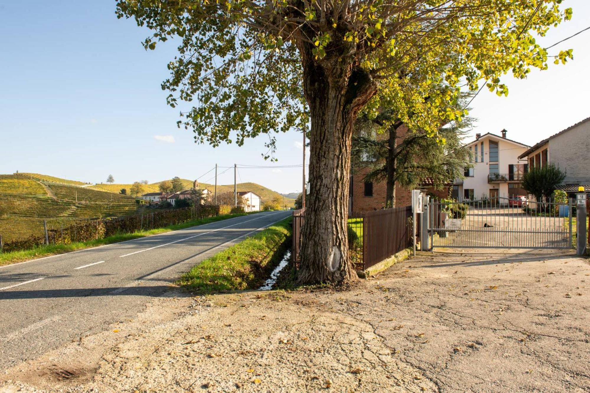 Casa Rubbo - Appartamento In Collina 'Monviso' Άλμπα Εξωτερικό φωτογραφία